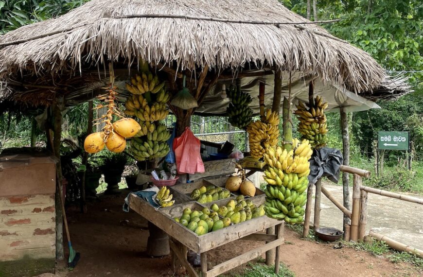 Streetfood in Sri Lanka